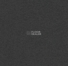 Линолеум Forbo Bulletin Board 2209 black olive фото 1 | FLOORDEALER